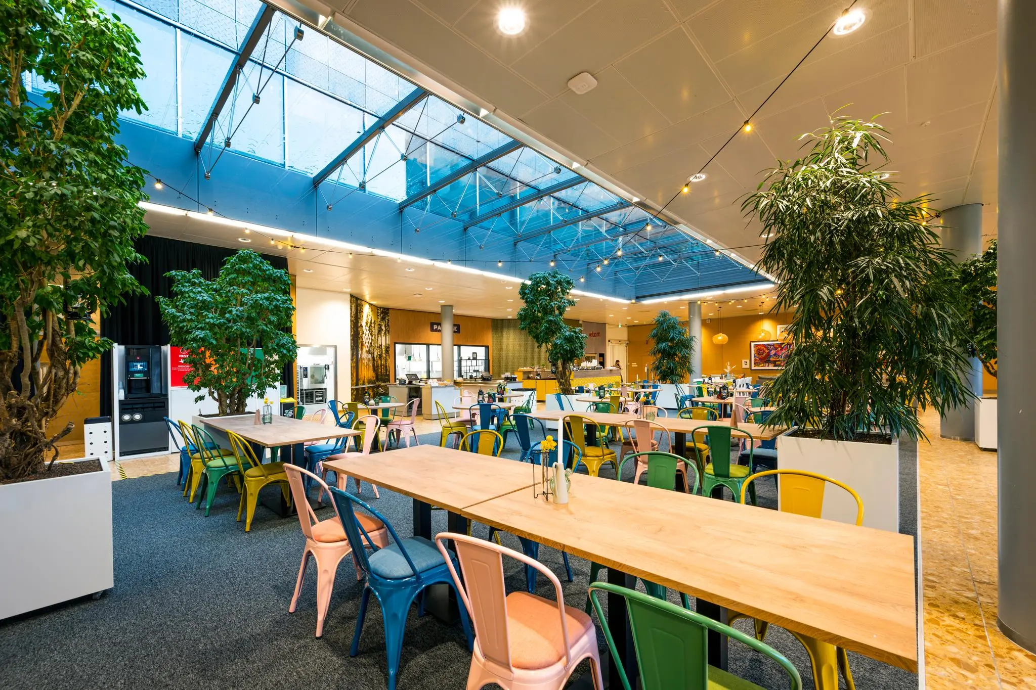 Moderne bedrijfskantine aan de Burgemeester Rijnderslaan met kleurrijke stoelen, houten tafels, veel groen en een glazen dak.